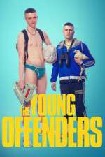 Watch The Young Offenders Megashare