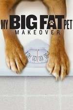 Watch My Big Fat Pet Makeover Megashare