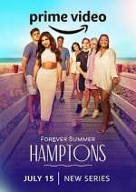 forever summer: hamptons tv poster