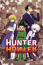 hunter x hunter (2011) tv poster