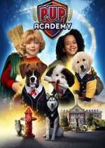pup academy tv poster