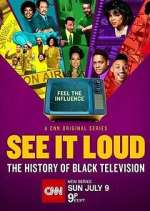 see it loud: the history of black television tv poster