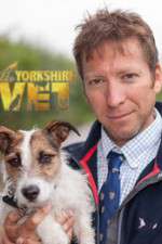 the yorkshire vet tv poster