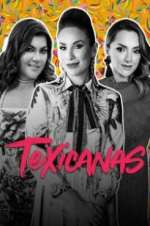 texicanas tv poster