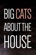 Watch Big Cats About the House Megashare