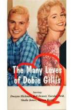 Watch The Many Loves of Dobie Gillis Megashare
