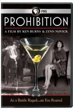 prohibition tv poster