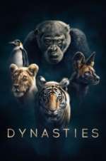 Watch Dynasties Megashare