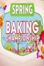 Watch Megashare Spring Baking Championship Online