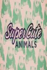 super cute animals tv poster