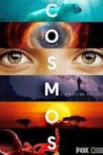 Watch Cosmos A SpaceTime Odyssey Megashare