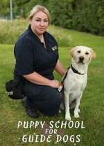 puppy school for guide dogs tv poster
