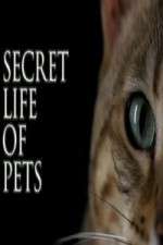 Watch The Secret Life of Pets Megashare