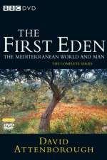 Watch The First Eden Megashare