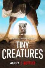 Watch Tiny Creatures Megashare
