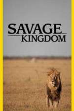Watch Savage Kingdom Megashare