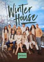 winter house tv poster