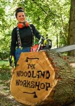 the woodland workshop tv poster