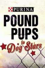 purina pound pups to dog stars tv poster