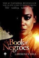 Watch Megashare The Book of Negroes Online