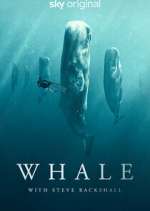 whale with steve backshall tv poster