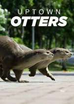 uptown otters tv poster