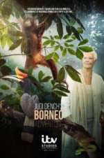 Watch Judi Dench\'s Wild Borneo Adventure Megashare