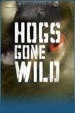 hogs gone wild tv poster