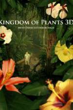 kingdom of plants 3d tv poster