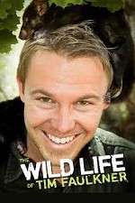 Watch The Wild Life of Tim Faulkner Megashare