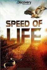 Watch Discovery Channel Speed Of Life Megashare