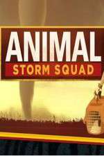 Watch Animal Storm Squad Megashare