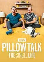 90 day pillow talk: the single life tv poster