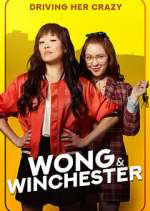wong & winchester tv poster