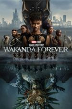 Watch Black Panther: Wakanda Forever Megashare