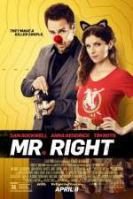 Watch Mr. Right Megashare