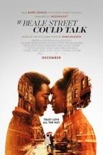 Watch If Beale Street Could Talk Megashare