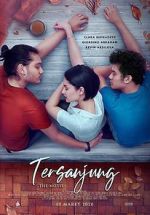 Watch Tersanjung: The Movie Megashare