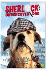 Watch Sherlock Undercover Dog Megashare