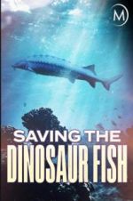 Watch Saving the Dinosaur Fish Megashare