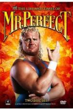 Watch The Life and Times of Mr Perfect Megashare