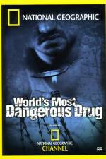 Watch Worlds Most Dangerous Drug Megashare