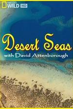 Watch Desert Seas Megashare