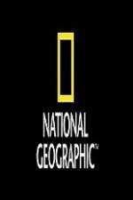 Watch National Geographic Wild Animal Attacks On Vacation Megashare