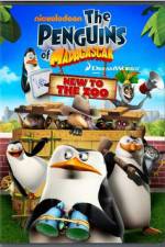 Watch Penguins of Madagascar New to the Zoo Megashare