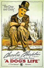 Watch A Dog's Life (Short 1918) Megashare