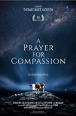 Watch A Prayer for Compassion Megashare