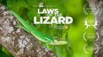 Watch Laws of the Lizard Megashare
