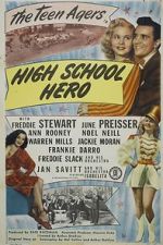 Watch High School Hero Megashare