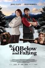 Watch 40 Below and Falling Megashare